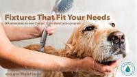 Washing dog with WaterSense showerhead