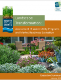 landscape transformation executive summary cover